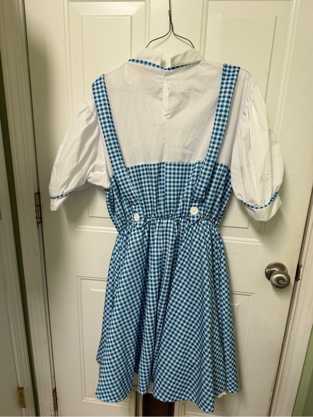 Wizard of Oz Dorothy Costume One Size Fits All Adult